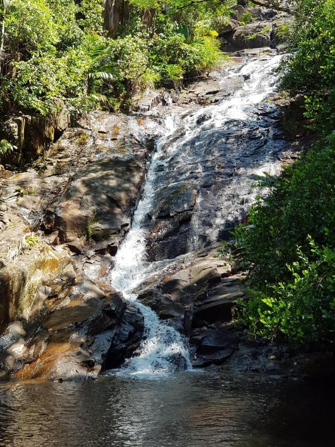 Waterfall Accomodation Port Glaud Ngoại thất bức ảnh